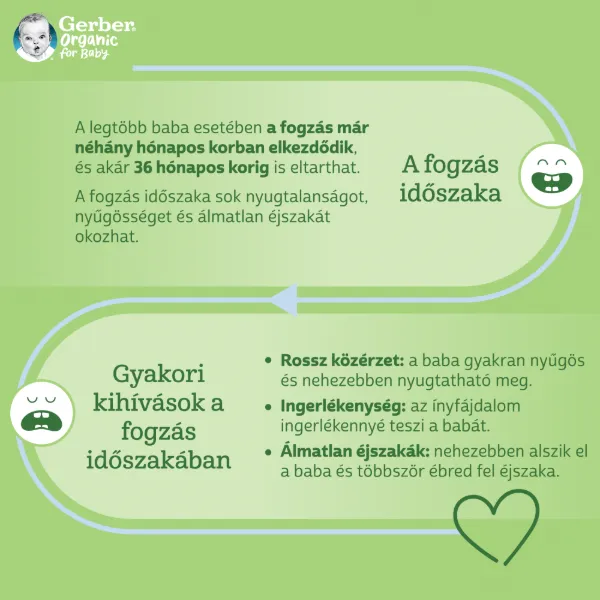 Gerber Chewing Wheels banános bio gabonasnack, 10 hónapos kortól 28 g termékhez kapcsolódó kép