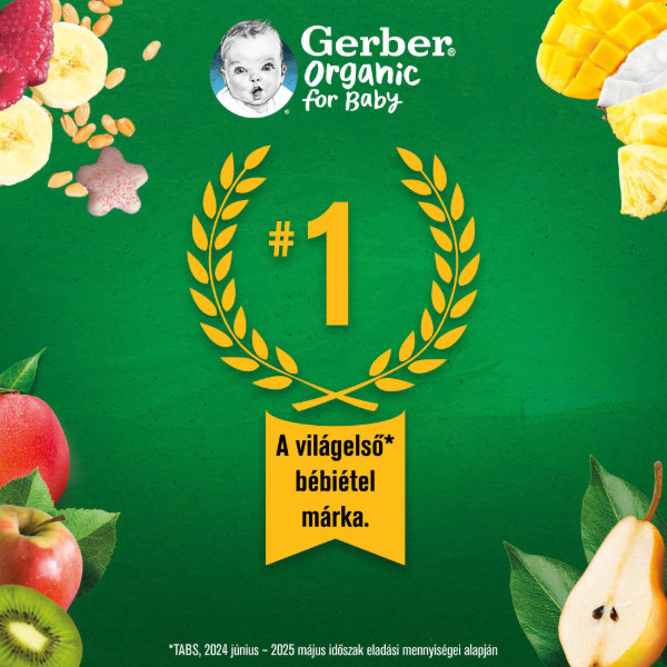 GERBER ORG. CW BIO GABONASCNACK BANANOS 28 g termékhez kapcsolódó kép