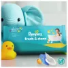 Pampers törlőkendő Fresh Clean XXL 20x80db termékhez kapcsolódó kép